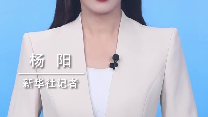 数据中台技术架构定制开发的深层解析