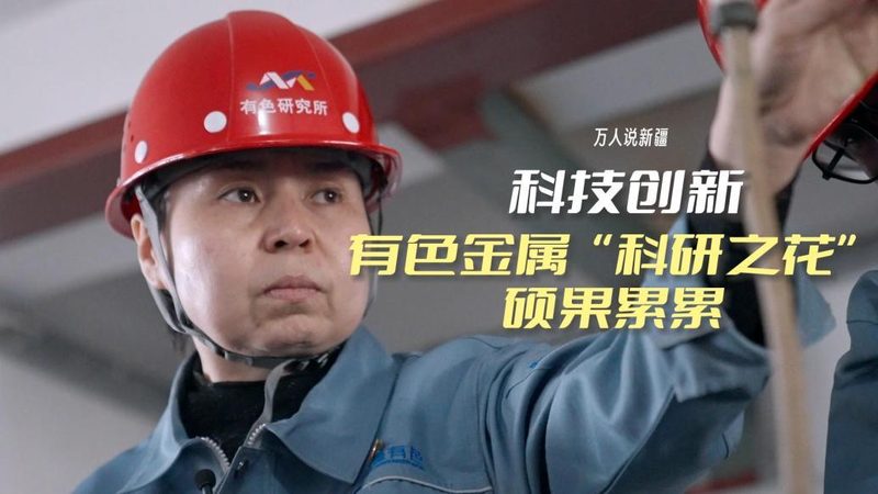 智能客服数据分析：揭秘价格背后的价值与考量